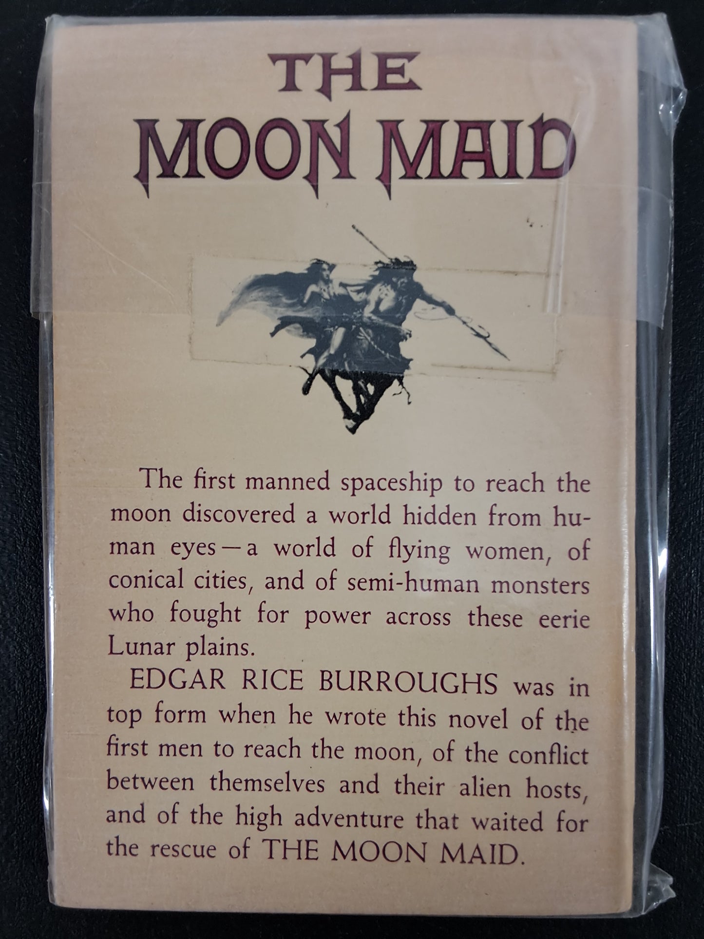 The Moon Maid
